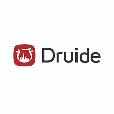 Druide Druide